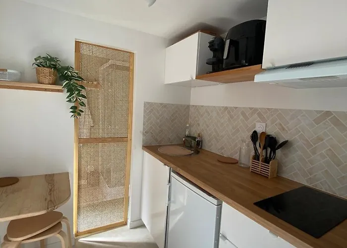 Cosy Avec Cour Privative *